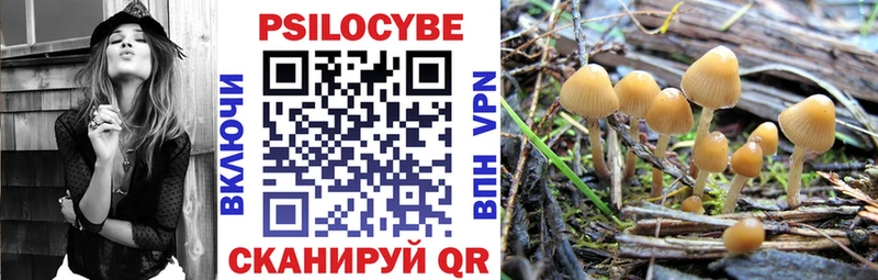 Галлюциногенные грибы Psilocybine cubensis  Истра 